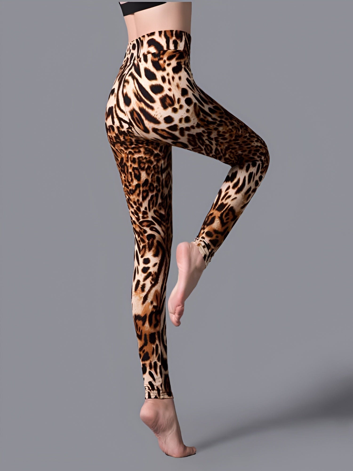 oolala Leggings Wild Luxe Yoga Band Wild Luxe Yoga Band